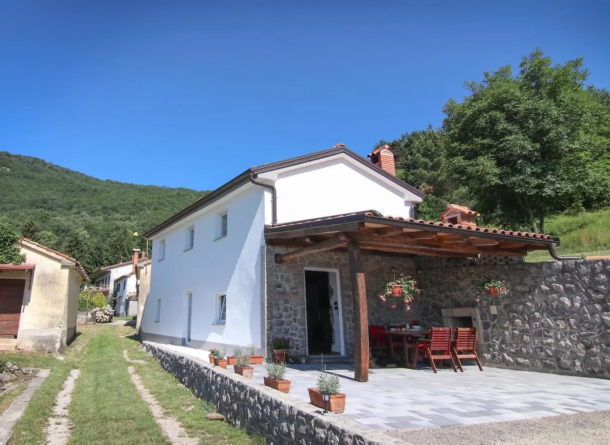 Guest House 'Villa Fani' Veprinac With Jacuzzi
