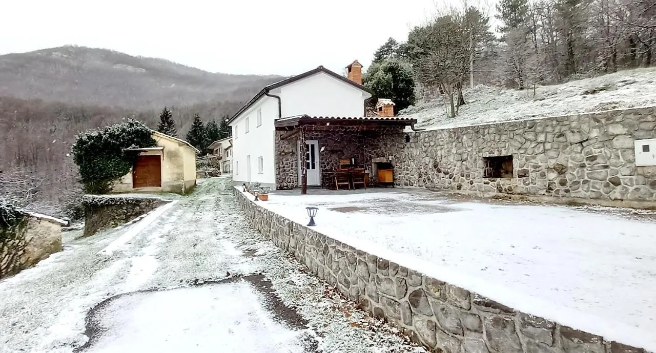 Guest House 'Villa Fani' Veprinac With Jacuzzi Ferienhaus