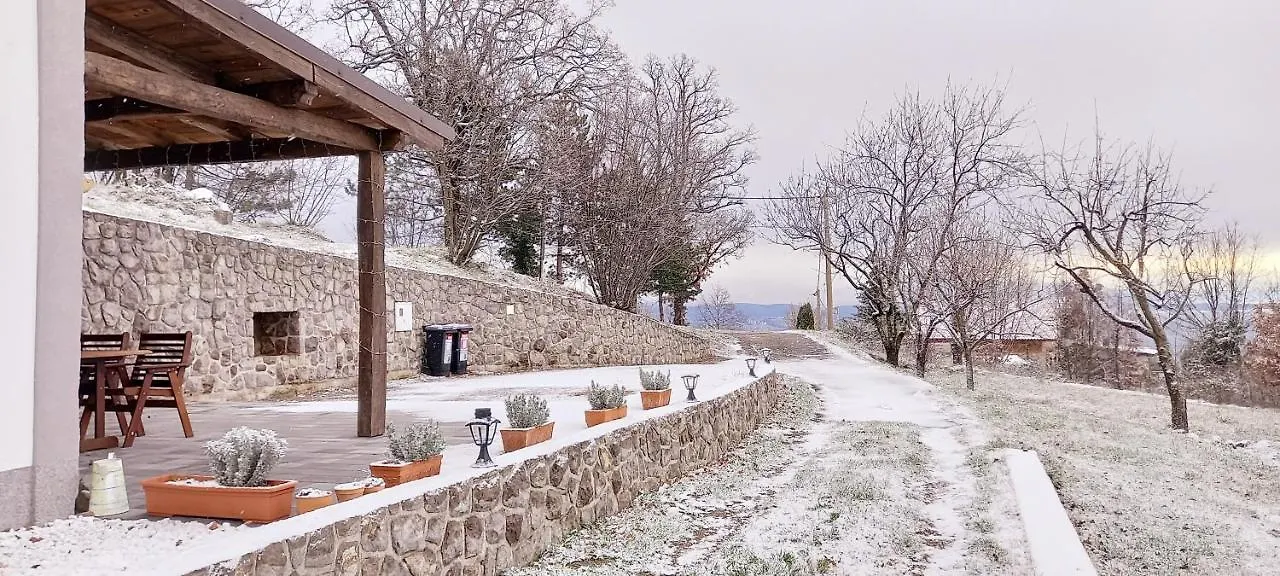Guest House 'Villa Fani' Veprinac With Jacuzzi 0*,