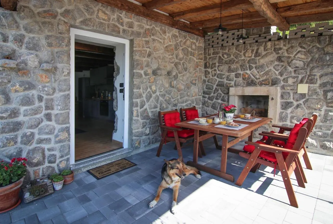 Guest House 'Villa Fani' Veprinac With Jacuzzi